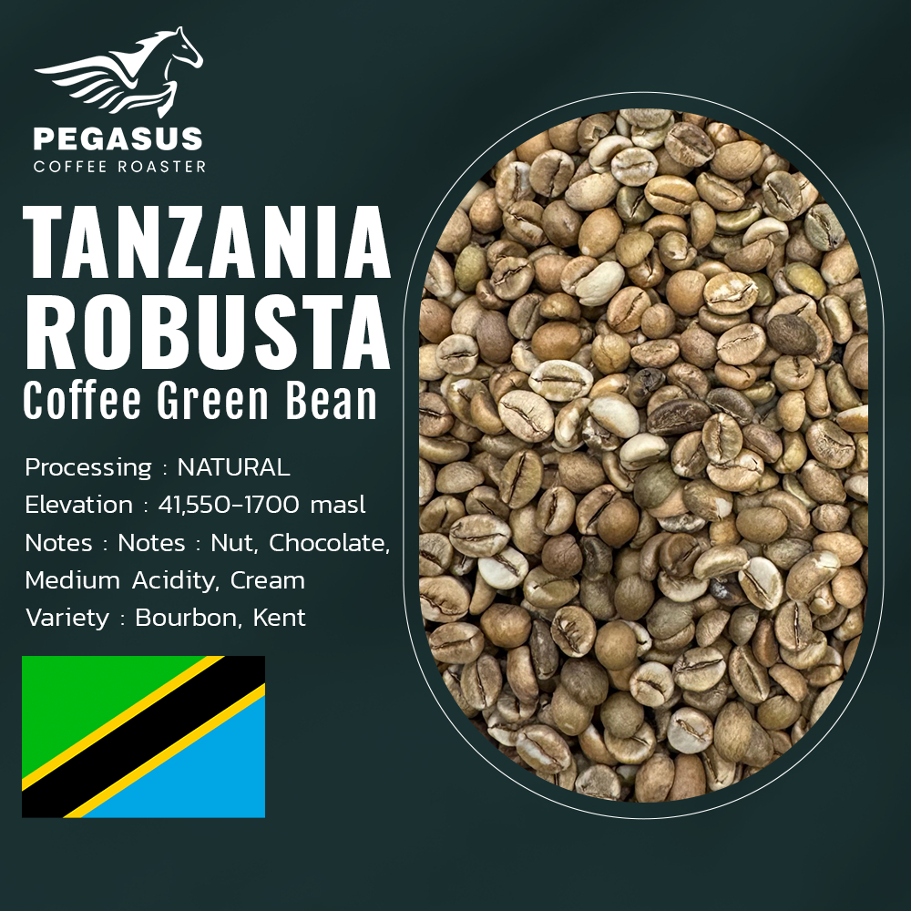 Pegasus Tanzania Robusta Green Coffee bean สารกาแฟโรบัสต้ แทนซาเนีย คัดพิเศษ ขนาด 1 กิโลกรัม