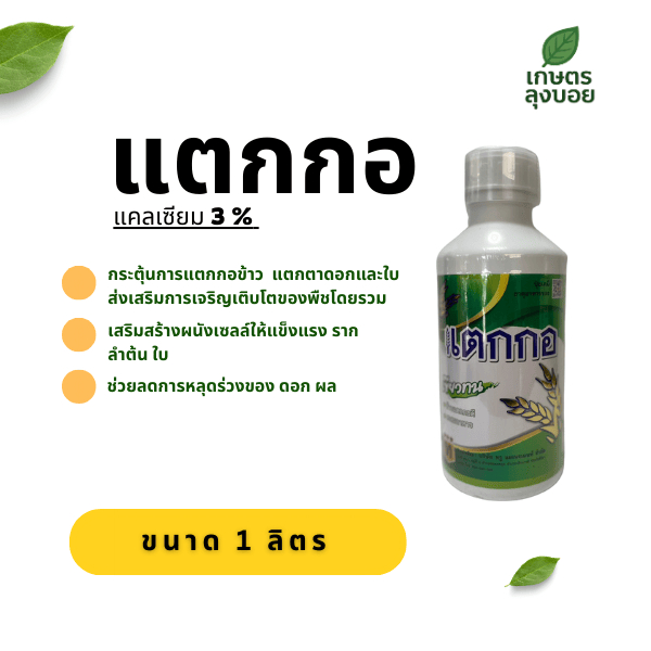 แตกกอ ธาตุรอง-เสริม สำหรับพืช ขนาด 1 ลิตร ใช้กับ นาข้าว พืชสวน ผัก