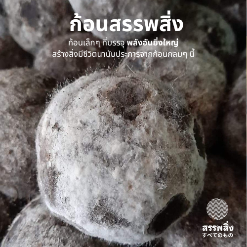 ก้อนสรรพสิ่ง ~ แพค x6 x12 ก้อน | ใช้สร้างระบบนิเวศใต้ดิน เป็นแหล่งอาหารและพลังงานให้กับดินและพืช รูปที่ 4
