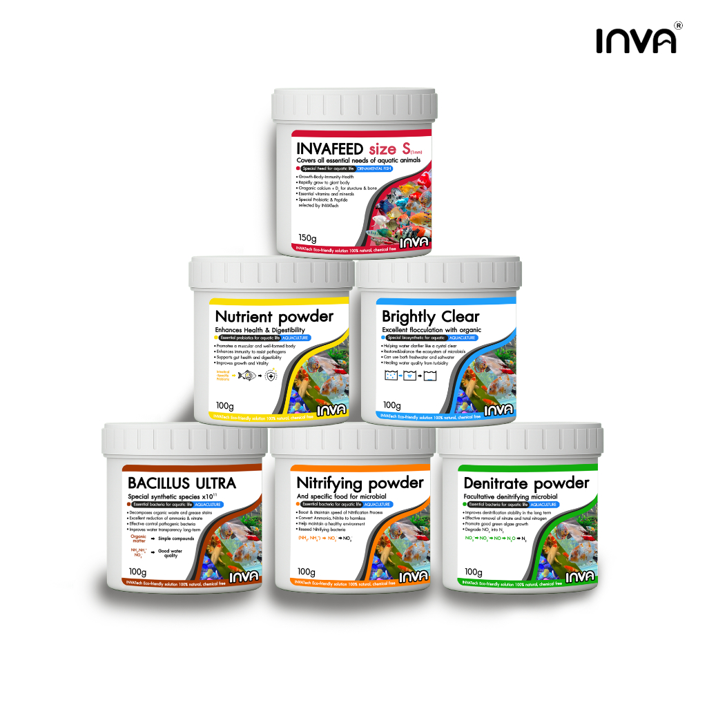 INVATech เทคโนโลยีจุลินทรีย์และอาหารปลาคุณภาพสูงที่พัฒนาขึ้นเพื่อผู้เลี้ยงปลาสวยงามทุกท่าน คุ้มค่า
