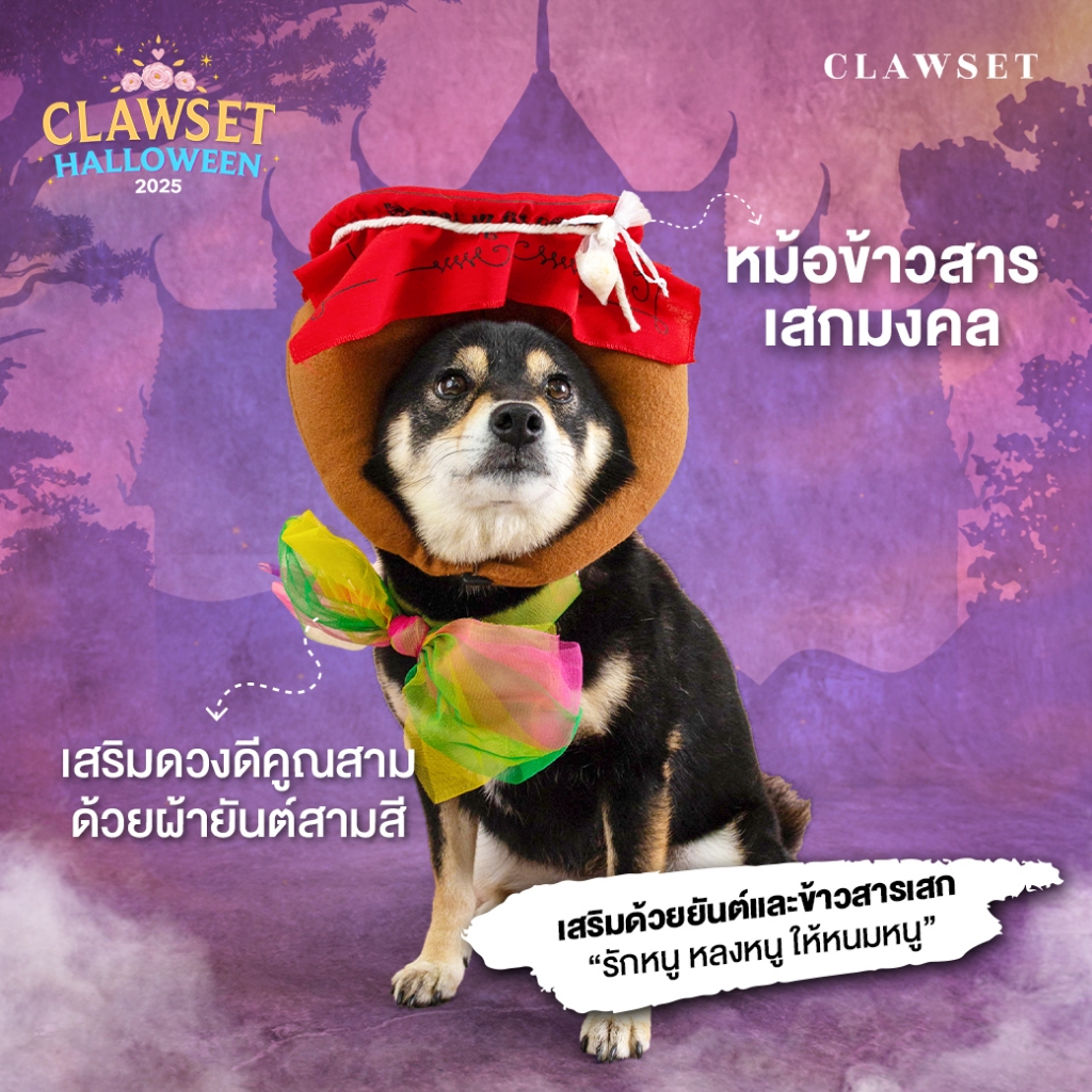 หม้อข้าวสารเสก (Boda Pot) คอสตูมหมาแมว ผีไทย ฮาโลวีน | CLAWSET.BKK