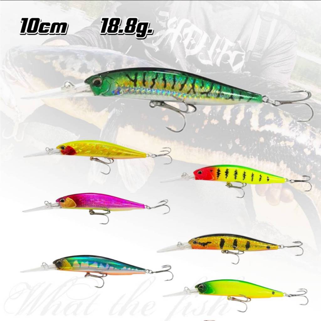 เหยื่อปลั๊ก 10cm 18.8g เหยื่อดำลึก SINKING MINNOW R177