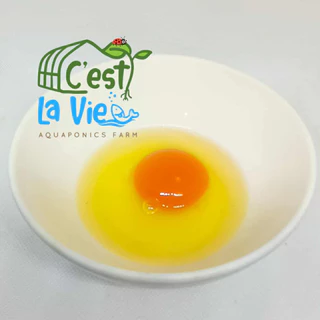 ไข่ไก่ปล่อยอิสระ Free Range Eggs ปลอดสาร สดใหม่จากฟาร์ม อร่อยไข่แดงมันนัว (30 ฟอง/30 eggs)เบอร์ 3
