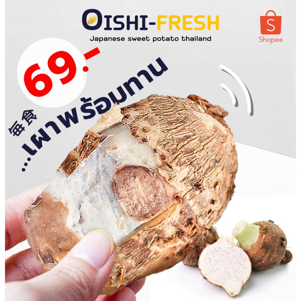 Oishi-Fresh🍠เผือกหอมเผาพร้อมทาน 500 ก.เนื้อขาวละมุน ละเอียด หอม หวานออร์แกนิค จัดส่ง 24 ชม.