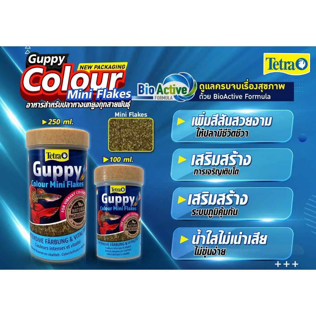 Tetra Guppy เต็ดตร้า กัปปี้ อาหารปลาหางนกยูง เร่งสี Made in Germany