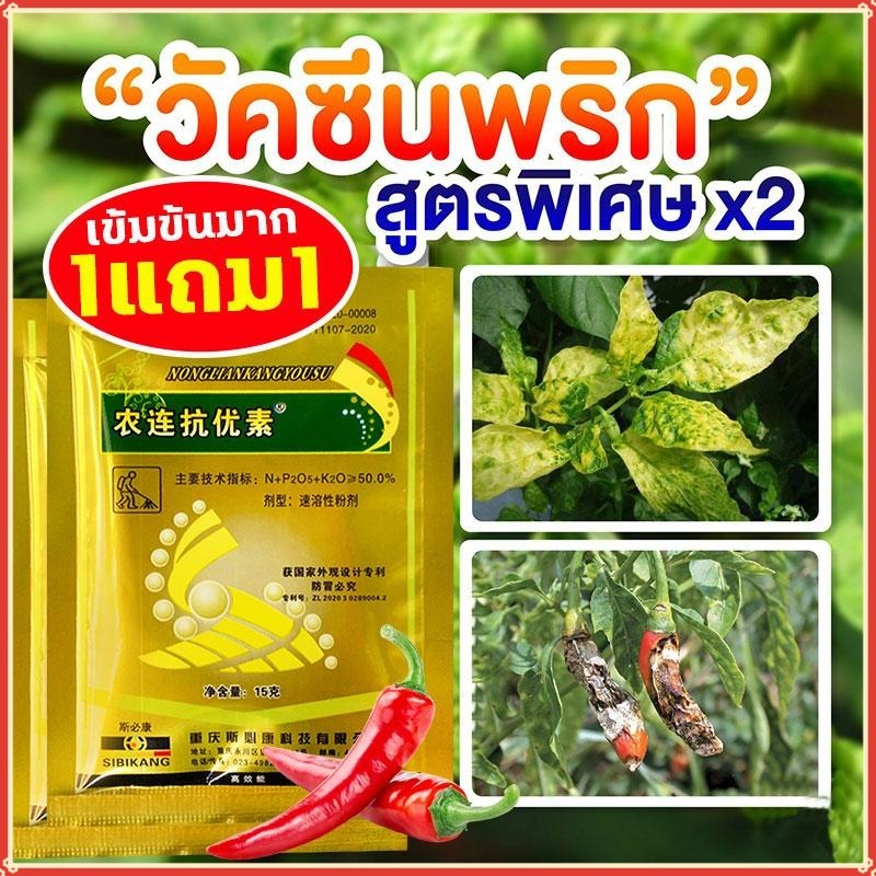 【ซื้อ1แถม1】วัคซีนพืชสามารถป้องกันโรคพริกเน่า โรคกุ้งแห้ง โรคผลเน่า โรครากเน่า โรคใบม้วน โรคใบเหลือง โรคพริก และโรคเชื้อร