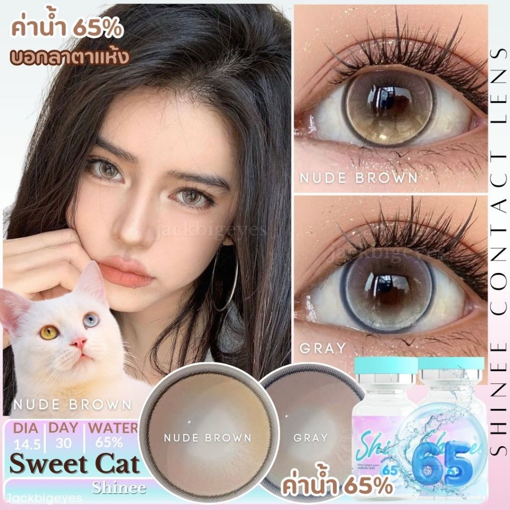 Shinee Premium Lens ค่าอมน้ำ 65% sweet cat เลนส์ฟิวเตอร์ ตาแมวน้อย หวาน น่ารัก ขนาดโตกว่าตาเล็กน้อย ค่าสายตา 0.00-1000