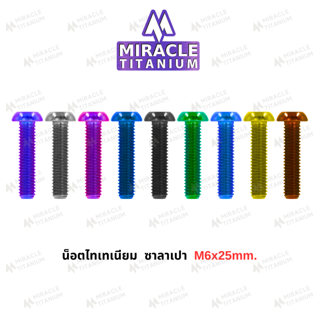 Button Head หัวซาลาเปา M6 x 25 mm.