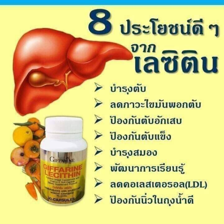 โคซานอล เลซิติน กิฟฟารีน ชุดดูแลสุขภาพ ไขมันในเส้นเลือด ดูแลตับ คลอเลสเตอรอล รูปที่ 7