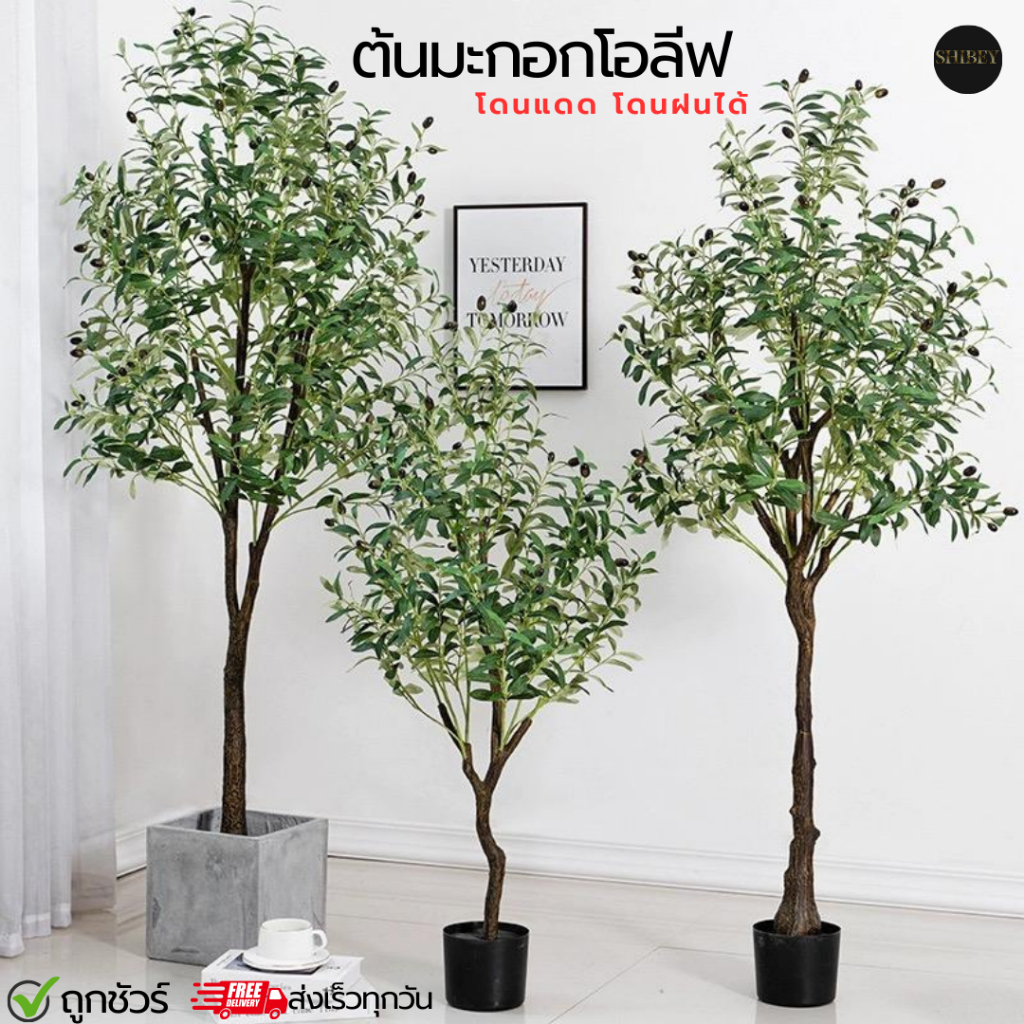 ต้นมะกอกโอลีฟ (พร้อมกระถางดำยกชุด) ต้นไม้ปลอม ต้นไม้แต่งบ้าน  Plant(GLS)