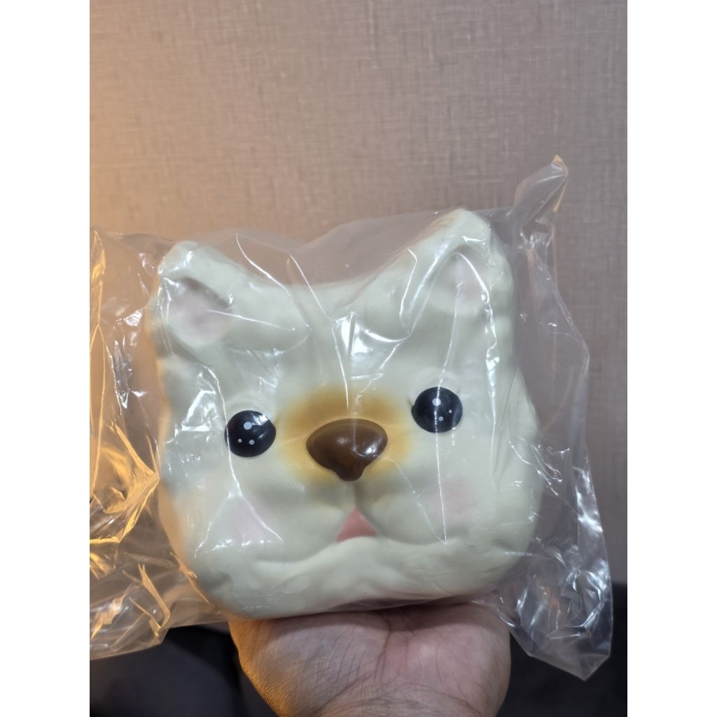 สกุชชี่แท้ 3an หัวหมาฟองนม