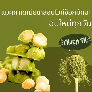 Churn.th แมคคาเดเมียอบเคลือบไวท์ช็อกมัทฉะ เกรดนำเข้า เต็มเม็ด Matcha white-Chocolate coated Macadamia