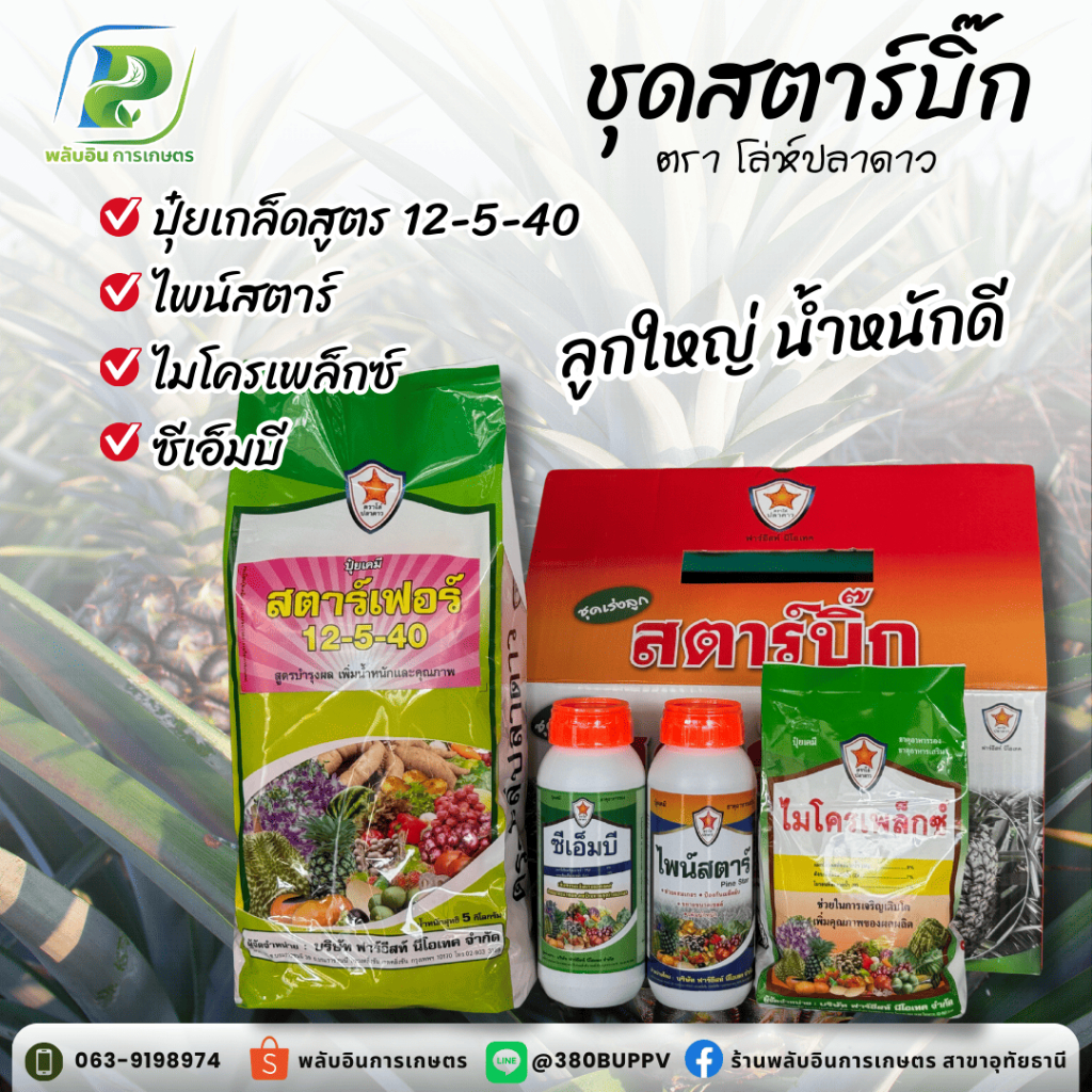 ชุดบำรุงหัวสับปะรด ลูกใหญ่ น้ำหนักดี ชุดสตาร์บิ๊ก ตราโล่ห์ปลาดาว