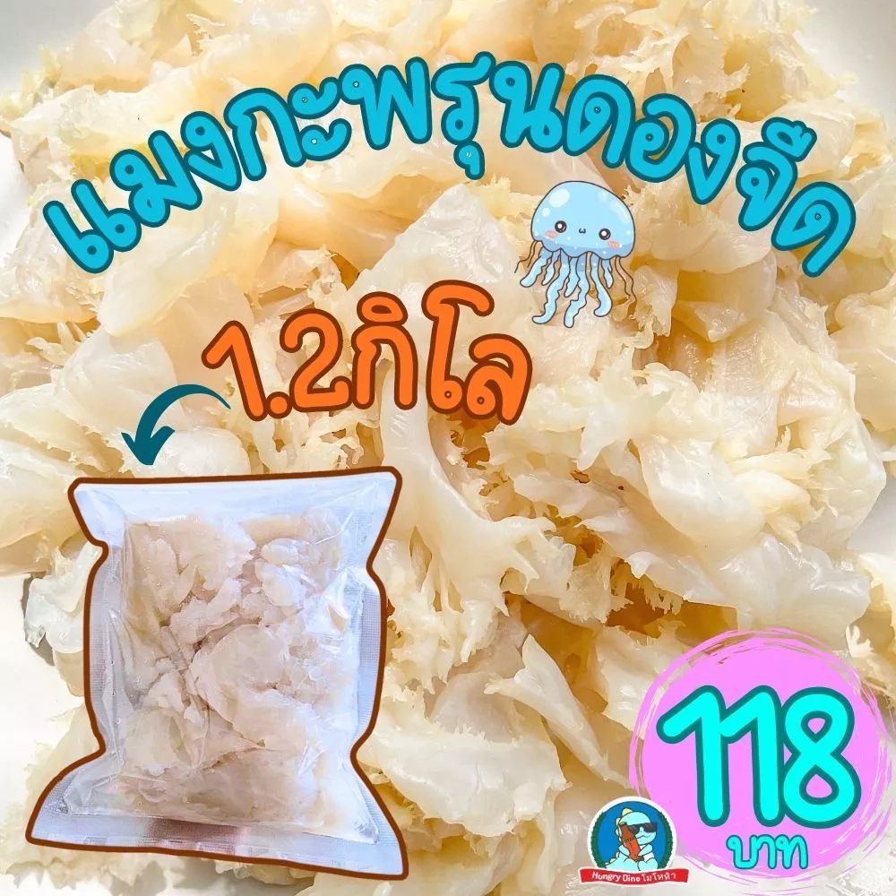 [สด..เนื้อเด้ง] แมงกะพรุนดองจืด ขนาด 1 กิโลกรัม แมงกะพรุนล้างจืด แมงกะพรุน