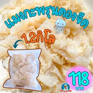 [สด..เนื้อเด้ง] แมงกะพรุนดองจืด ขนาด 1 กิโลกรัม แมงกะพรุนล้างจืด แมงกะพรุน