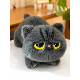 ตุ๊กตาแมวดำตาโต ขนาด 50CM 70CM 90CM ขนนิ่ม สบาย น่ารัก สำหรับผู้ที่ชื่นชอบความนุ่มและน่ารัก