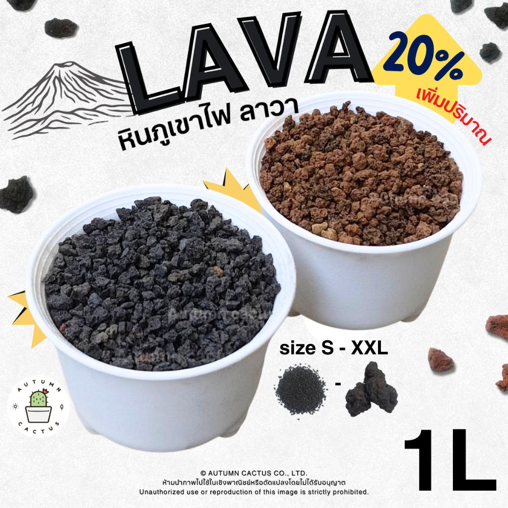 🌋⚫LAVA ROCK หินภูเขาไฟลาวา หินภูเขาไฟ ลาวาดำ ลาวาแดง มวลหนักใช้โรยหน้า ผสมดิน บรรจุ 1 ลิตร (ประมาณ 0.85kg)