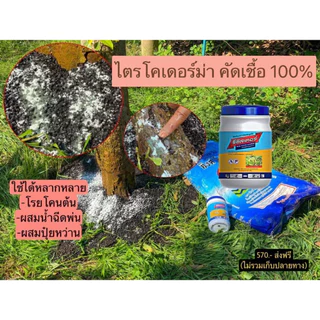 รีซิสเตอร์ ไตรโคเดอร์ม่า ป้องกันเชื้อรา