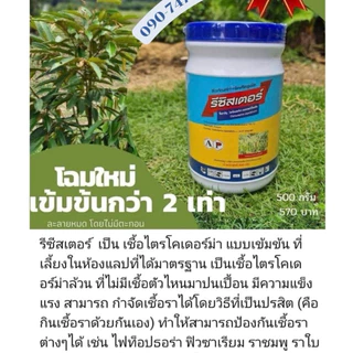 รีซิสเตอร์ ไตรโคเดอร์ม่า ป้องกันเชื้อรา