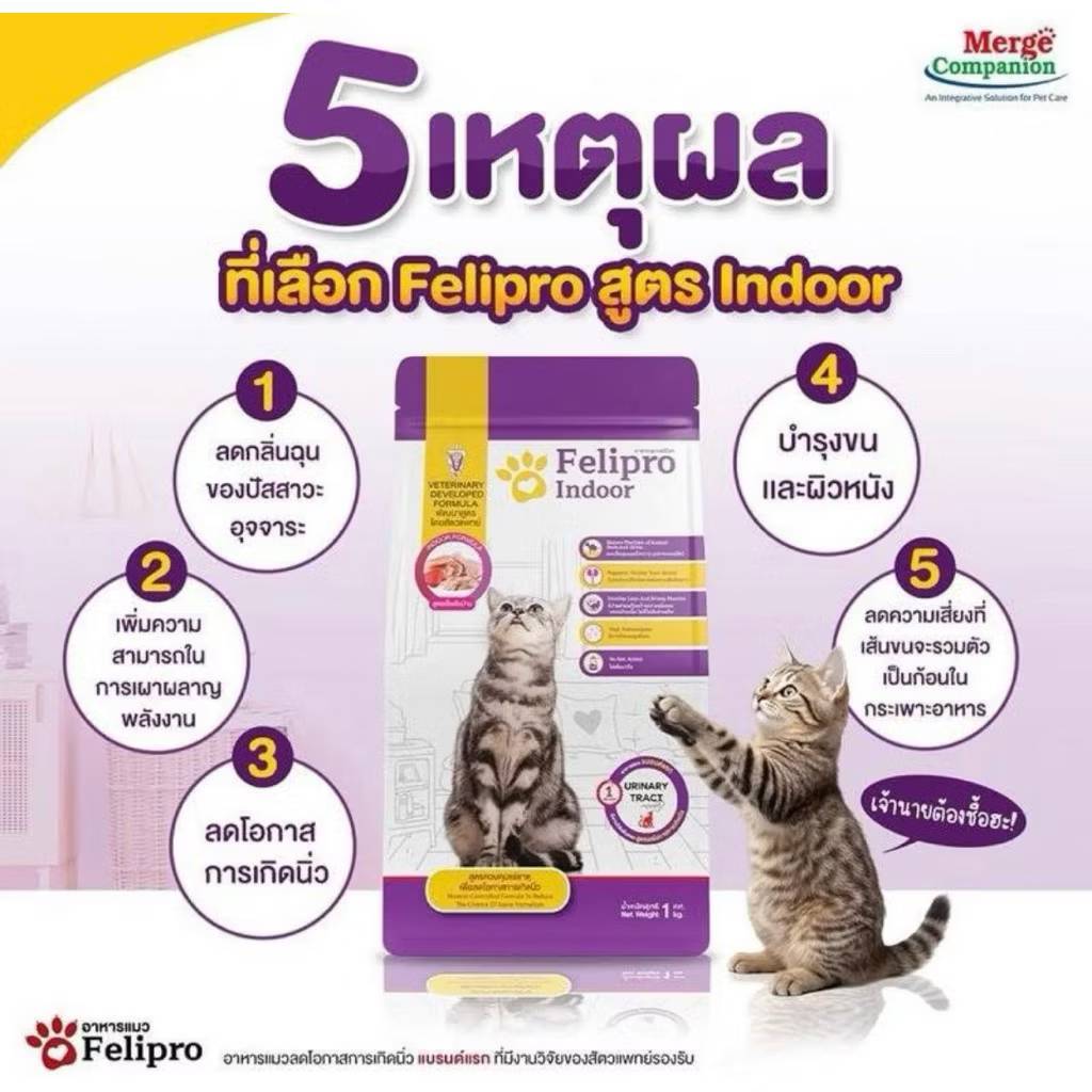 Felipro เฟลิโปร อาหารเม็ดแมวทุกช่วงวัย ไม่เค็ม ลดโอกาสการเกิดนิ่ว ขนาด1กิโล(ถุงแบ่งจากกระสอบ) รูปที่ 6