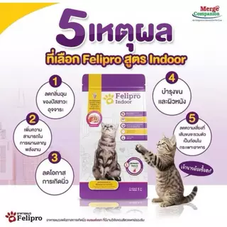 Felipro เฟลิโปร อาหารเม็ดแมวทุกช่วงวัย ไม่เค็ม ลดโอกาสการเกิดนิ่ว ขนาด20kg(1*20kg)