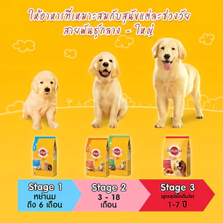 Pedigree อาหารสุนัข 400g Dog Food สารอาหารครบถ้วนตามหลักโภชนาการ ช่วยเสริมภูมิคุ้มกัน บำรุงผิวและขน