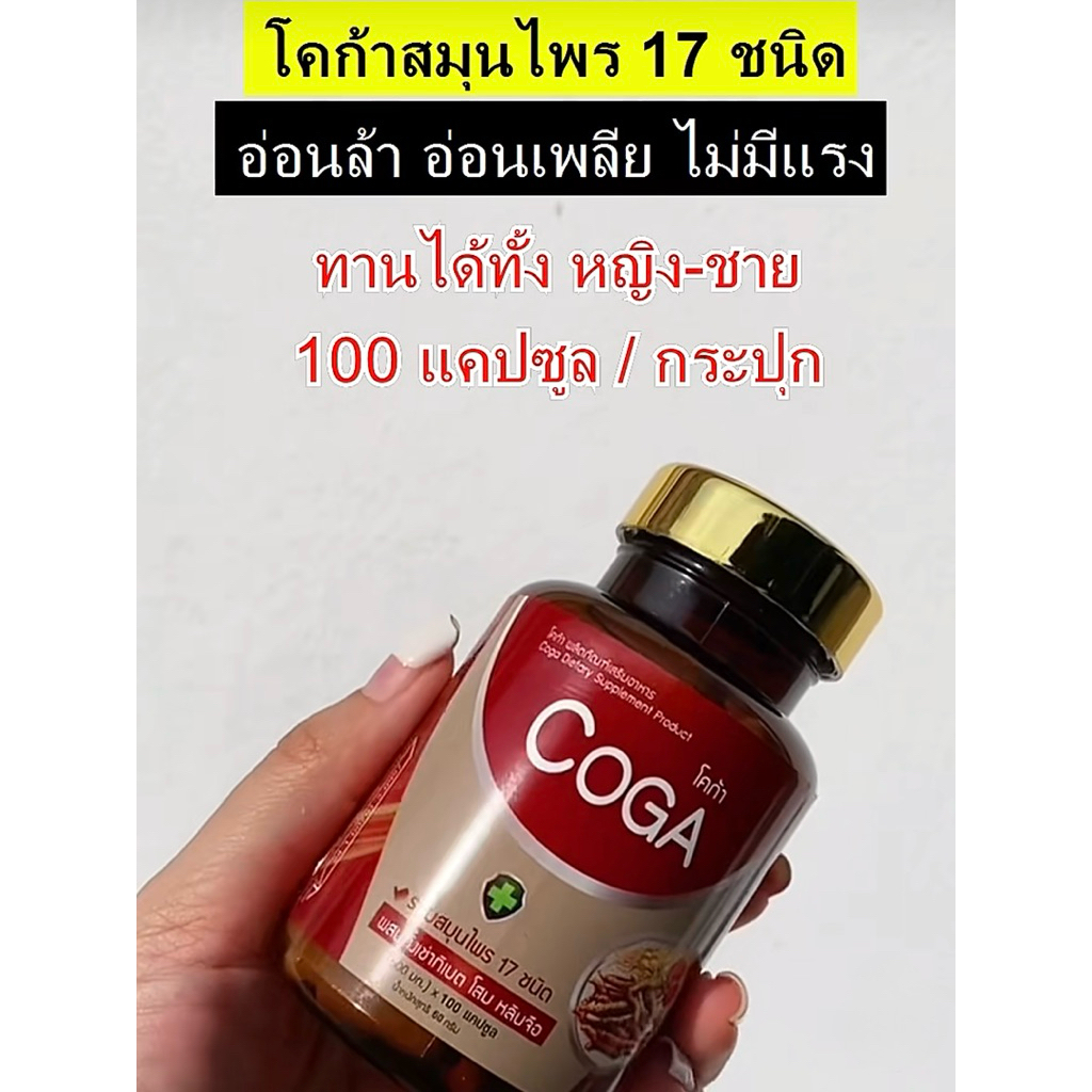 Coga โคการ์ สมุนไพรรวม 17 ชนิด วิตามิน อาหารเสริม  (1กระปุก 100เม็ด)