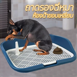 🐶ห้องน้ำหมาขอบสี่เหลี่ยม ห้องน้ำสุนัข ถาดฉี่สุนัข มีเสาถอดได้ มีตะแกรงรองถาด ทำความสะอาดง่าย ถาดรองฉี่สุนัข