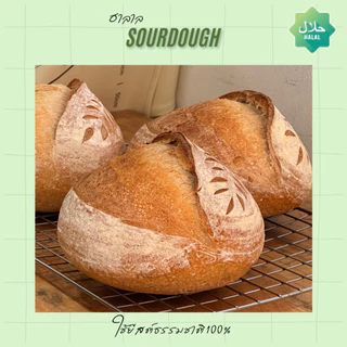 Plain sourdough ขนมปังซาวโดว์จากยีสต์ธรรมชาติ ฮาลาล(halal)