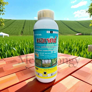 มอเรตซ์ บริษัทสิงห์เจริญ (อะนิโลฟอส 30% W/V EC)-สารกำจัดหญ้าดอกขาว หญ้าข้าวนก หญ้านกสีชมพู ผักปอดนา กกขนาก
