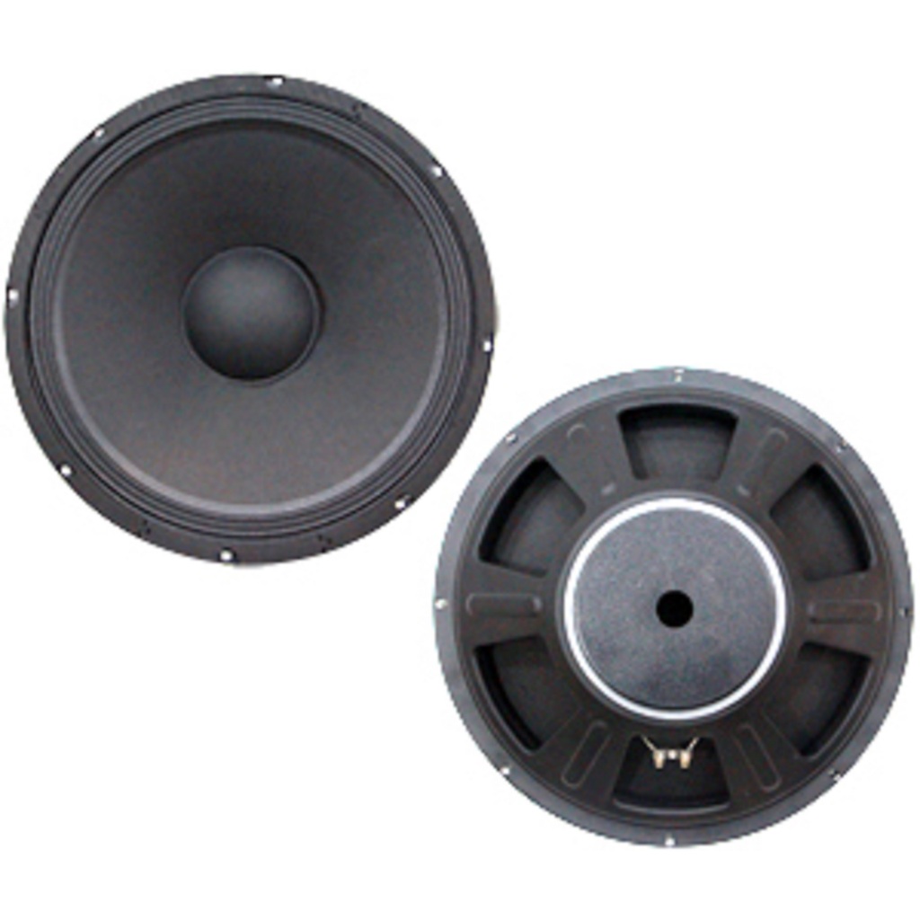 NPE ลำโพง 15" 300W สำหรับ MH-15