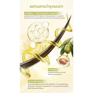 BNB Barenbliss Roll To Clean Mascara Remover 8g คลีนเซอร์มาสคร่า ทำความสะอาดมาสคาร่ารอบดวงตา