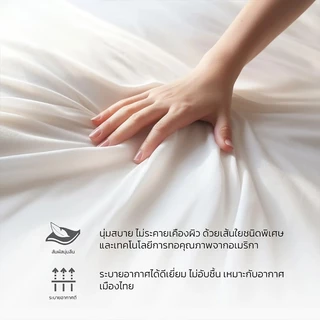 Hiltonแท้ ผ้านวม ผ้าห่มโรงแรม ไส้ผ้าไหม100% เกรดโรงแรม5ดาว 5ฟุต 6ฟุต 7ฟุต Blanket นุ่มเย็นเนียน ไส้ผ้านวม