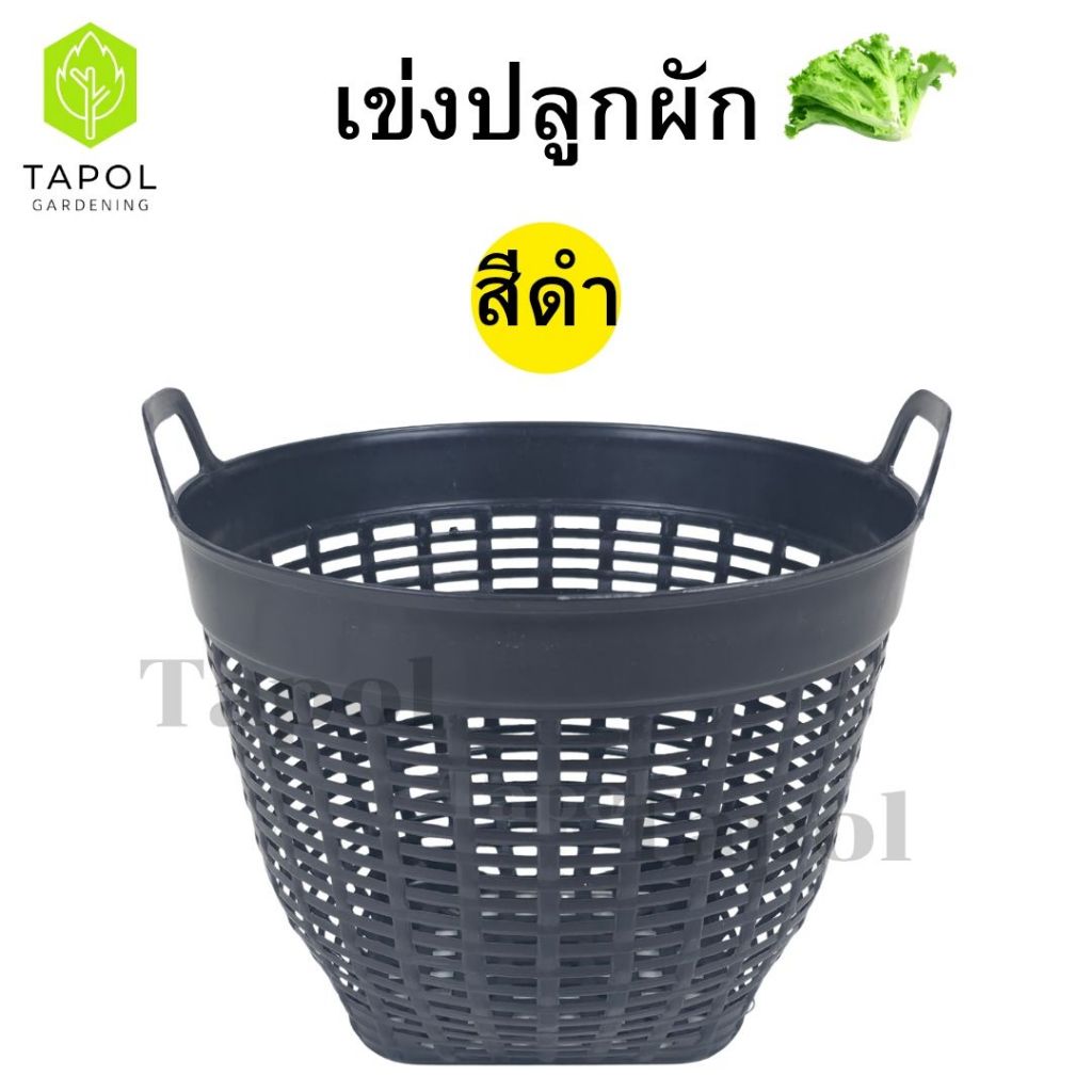 เข่งปลูกผัก เข่งพลาสติก เบอร์ 7 มี 3 สี ขาว / ดำ / เทา ตะกร้าพลาสติก ขนาดกำลังดี ระบายน้ำได้ดี - รูปที่ 6