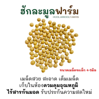 ถั่วเหลือง ออร์แกนิค 850กรัม ตราฮักละมูลฟาร์ม Organic Soy Bean
