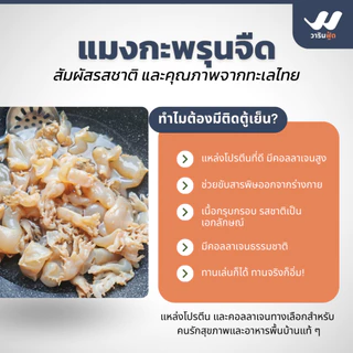**ค่าส่งที่ถูกที่สุด การันตีคุณภาพจากทะเลไทย** แมงกะพรุนจืด หัวติดขา/ผ่าสี่ 1KG สายคลีน/คีโต