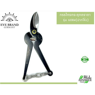 🇩🇪 กรรไกรกระตุก ตราตา (EYE BRAND) รุ่น 6084 ปากโค้ง "เหล็กเยอรมนีแท้! คมจัด ทนทานยาวนาน" (ของแท้) 🌳