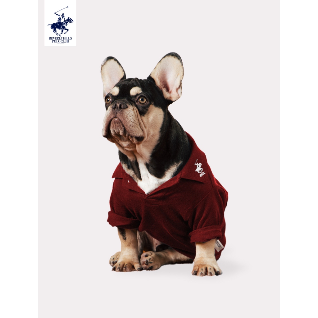 BEVERLY HILLS POLO CLUB เสื้อโปโลสำหรับน้องหมา รุ่น DG2V001