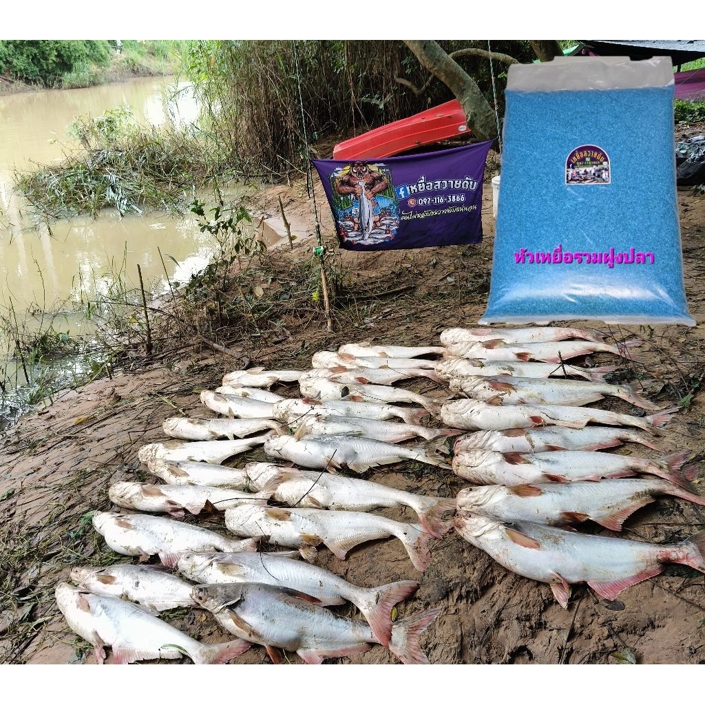 @หัวเหยื่อ​ รวมฝูงปลา