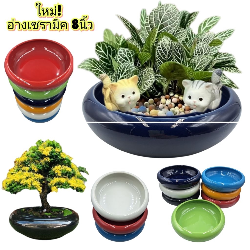 อ่าง เซรามิค อ่างบัว เลี้ยงปลา จัดสวนถาด กว้าง8นิ้ว ทรงใหม่ มี7สี ราคาขาย/1ใบ