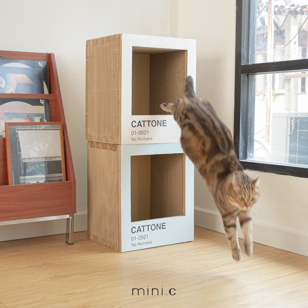 mini.c ที่ลับเล็บแมว รุ่น CATTONE ที่ฝนเล็บแมว ของเล่นแมว บ้านแมว Cat scratcher รูปที่ 6
