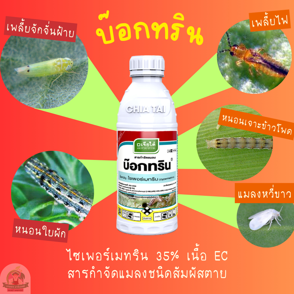 บ๊อกทริน 1 ลิตร ไซเพอร์เมทริน เจียไต๋ ยาฆ่าแมลงหวี่ขาว เพลี้ยไฟ ยาเย็น