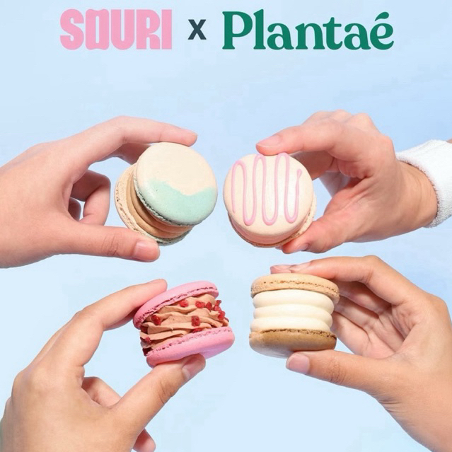 ✅รับหิ้ว✅ใหม่‼️มาการองเพื่อสุขภาพ💖🍪SOURI x Plantae Fatcaron 🚛ส่งได้ทั่วประเทศไทยค่ะ
