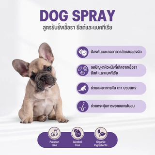 Goodboss Spray สเปรย์สำหรับสัตว์เลี้ยง เชื้อรา ยีสต์ ลดคัน เกา ขนร่วง สมานเเผล สูตรออแกนิค