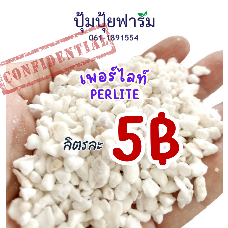 5฿ !!โปรลับ เพอร์ไลท์ Perlite  ลิตรละ 5 บาท(90-120กรัม) เมื่อสั่ง 15 ลิตรขึ้นไป (บรรจุรวมนะคะไม่แยก)