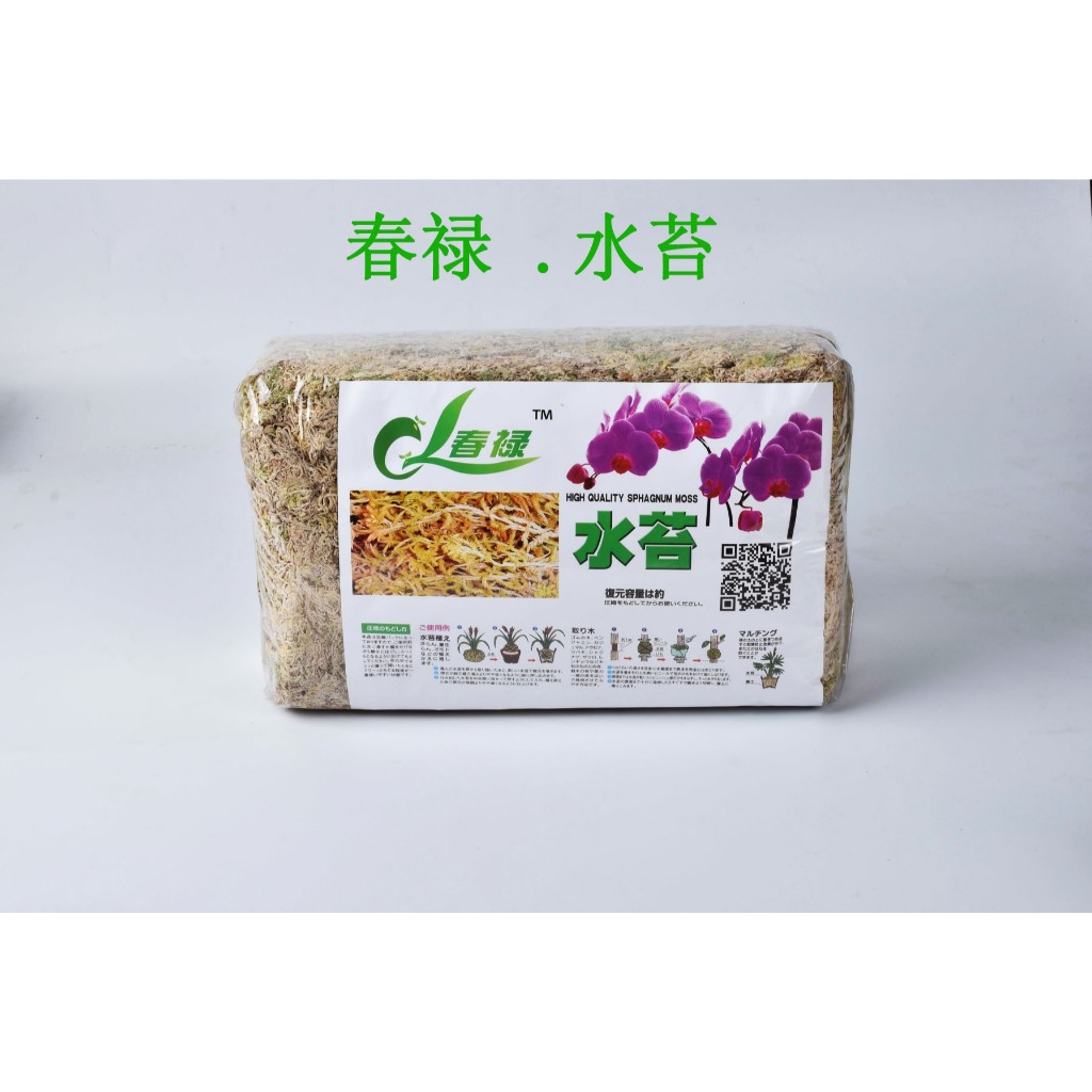 มุมมอง 2