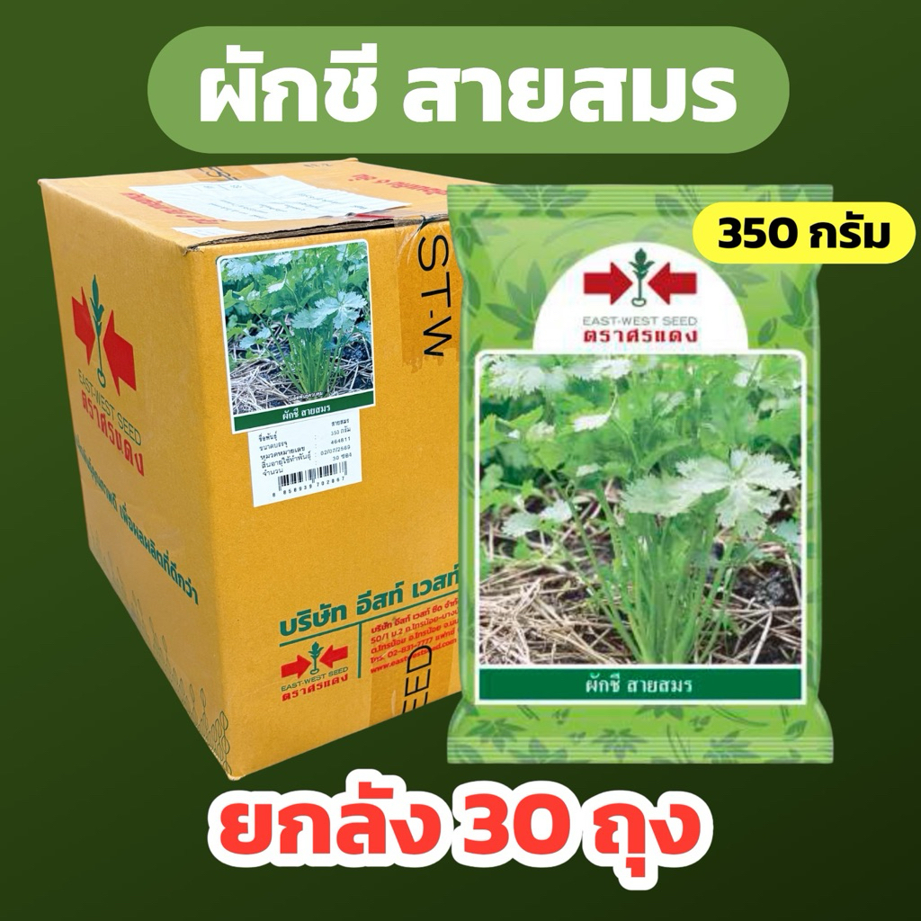ผักชี สายสมร (ยกลัง 350 กรัม x 30 ถุง) ศรแดง