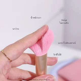 ODBO PERFECT BRUSH BEAUTY TOOL OD8-193 เซ็ทแปรงแต่งหน้าพาสเทล (แถมกระเป๋าใส่แปรง) รุ่นขายดีในตำนาน