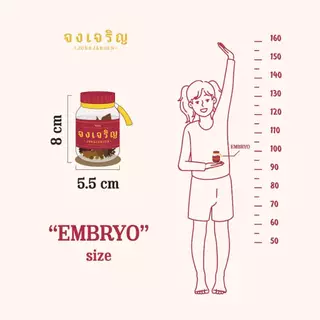 จงเจริญ ยาดมสมุนไพรไทย กลิ่นหอมเย็นสดชื่น พกง่าย ใช้งานสะดวก ไซส์ EMBRYO