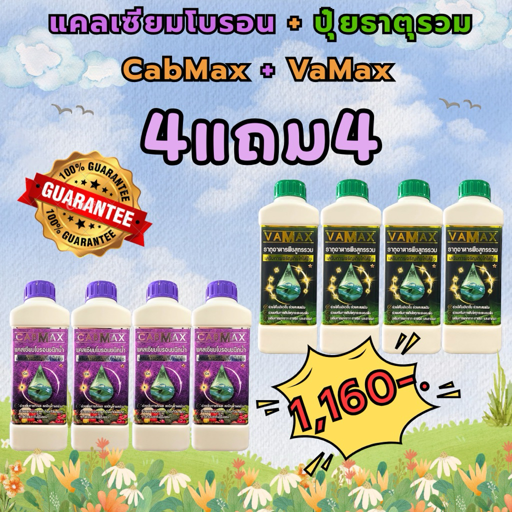 [4แถม4] CabMax+VaMax แคลเซียมโบรอนเข้มข้ม แถม ปุ๋ยธาตุรวม